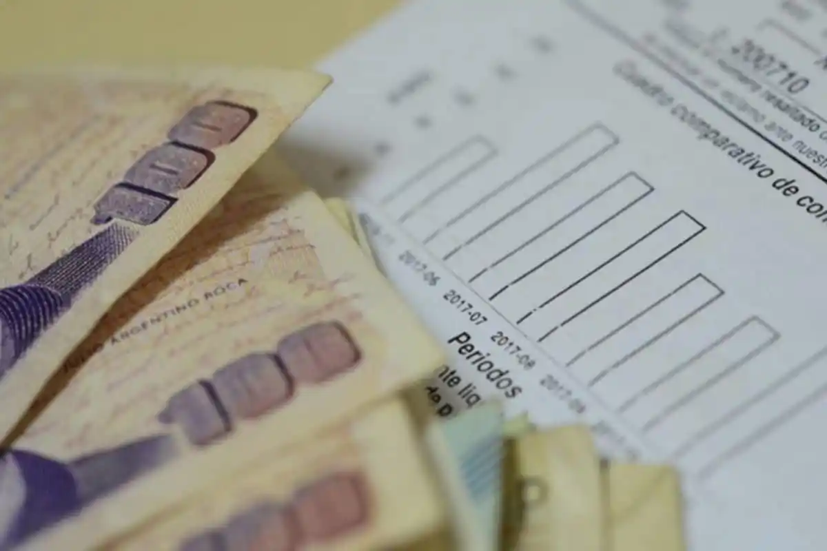 Un informe del Consejo Empresario indica que el 50% del costo de la tarifa eléctrica de Entre Ríos son impuestos