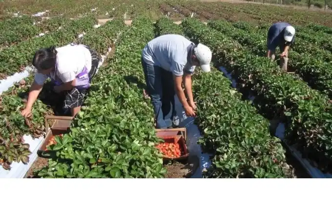 La Provincia rescató a dos hombres víctimas de trata laboral en Tandil