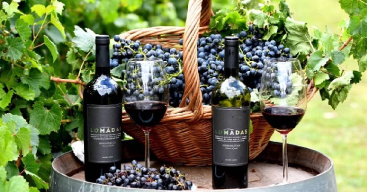 Doble medalla de oro para el Malbec entrerriano de Kranevitter SRL ...