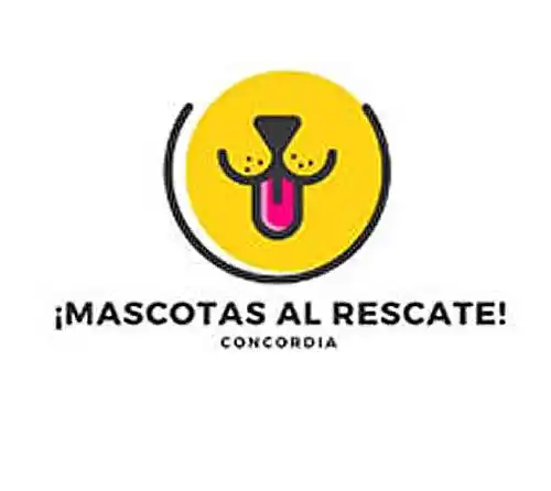 �SMascotas al Rescate⬝ busca conseguir un hospital público para mascotas