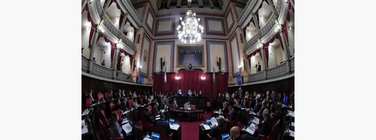 El Senado bonaerense aprobó por unanimidad la ley de alcohol cero al volante