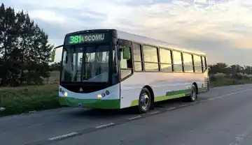 Chascomús–Ranchos: la Línea 381 prepara nuevos horarios, mejoras en la flota y una convocatoria laboral