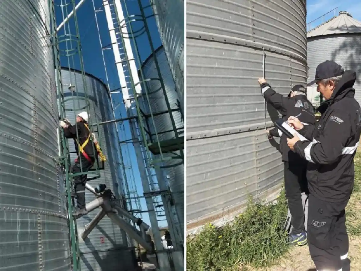 AFIP detectó más de 2.900 toneladas de granos no declarados