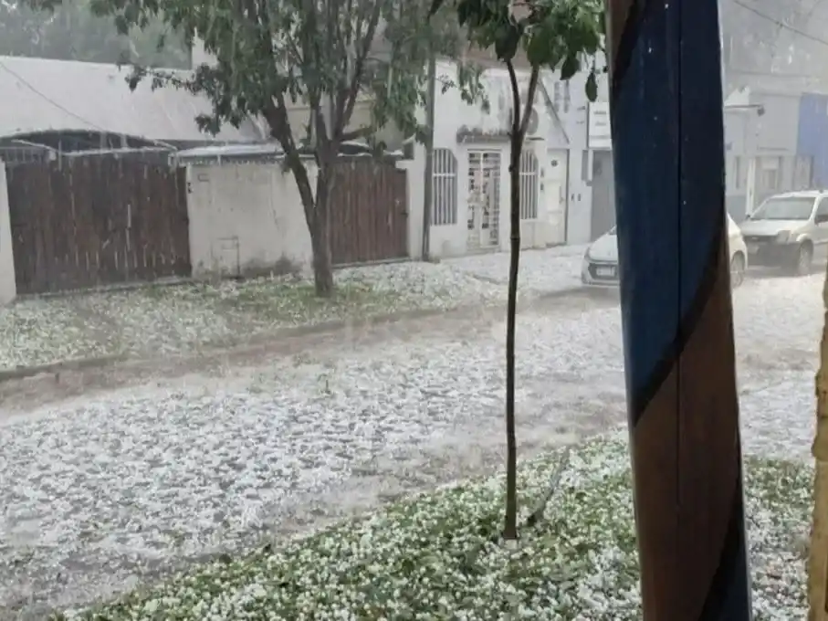La región se complicó por una pedrada extraordinaria que tiñó de blanco diferentes zonas suburbanas. Foto: Gentileza.
