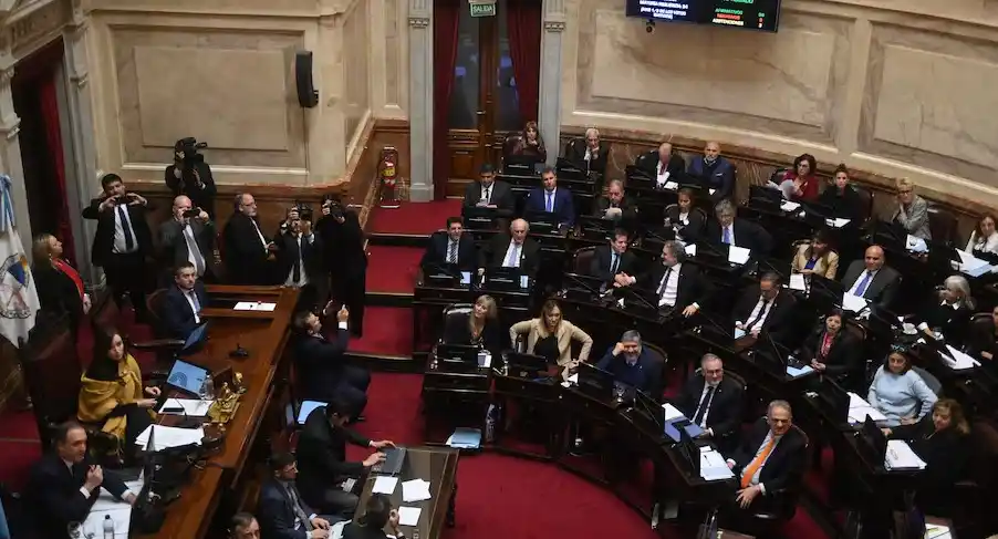 El Senado sesionará este jueves por el veto a la emergencia en discapacidad