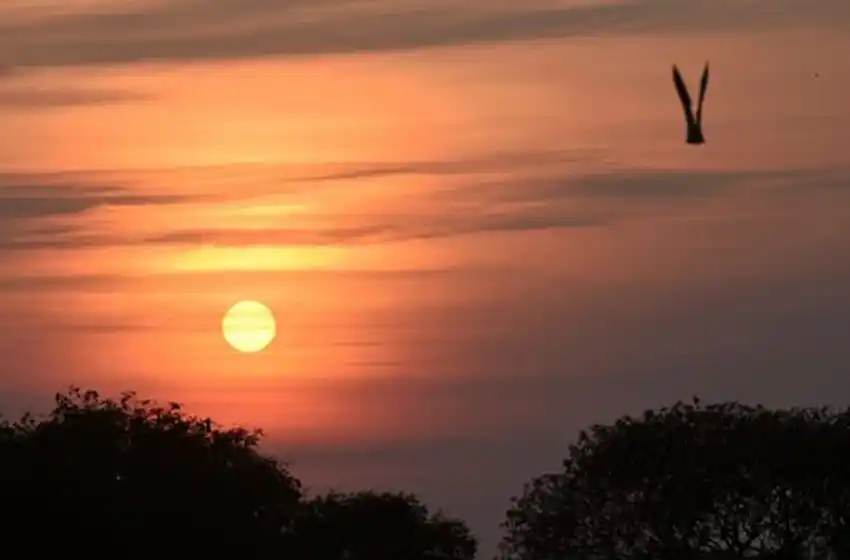 Las cenizas del Amazonas llegaron al cielo rosarino