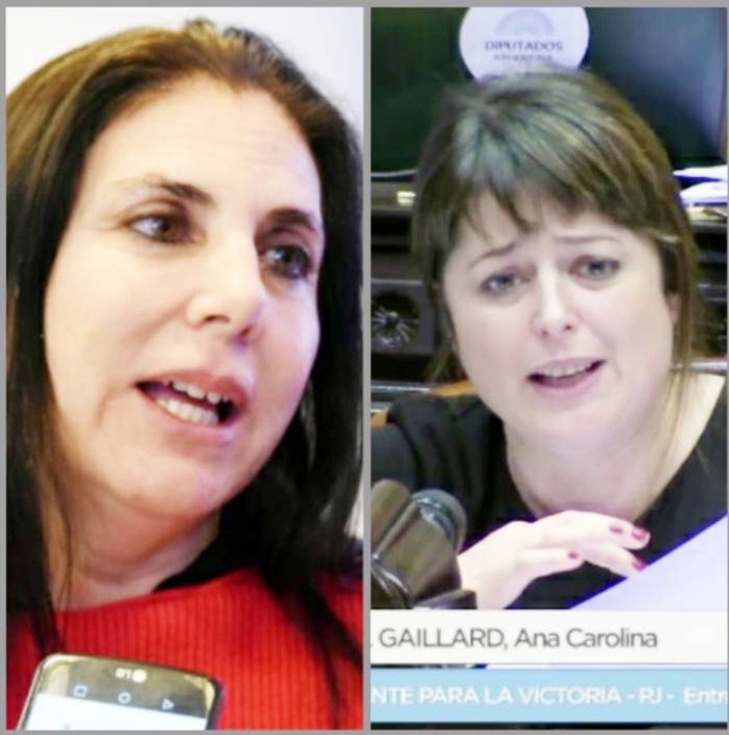 Cruce entre las diputadas  Lena y Gaillard por la Ley  de Emergencia Turística