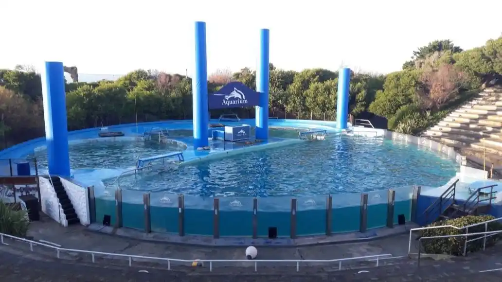 Después de 33 años, cierra el Aquarium Mar del Plata: ¿qué harán con los animales?