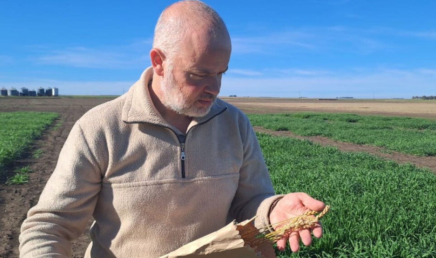 Reconocimiento a la trayectoria de un especialista en el mejoramiento del trigo