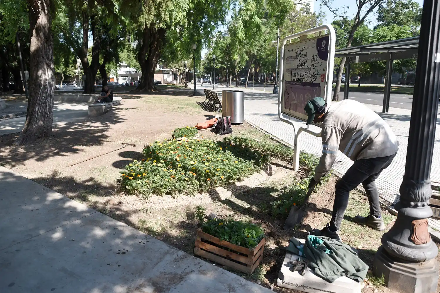 Espacios verdes santafesinos: cambio de luminarias en La Plaza Pueyrredón