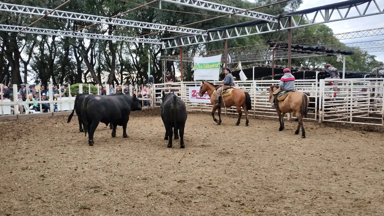 Cooperativa La Ganadera de General Ramírez Limitada