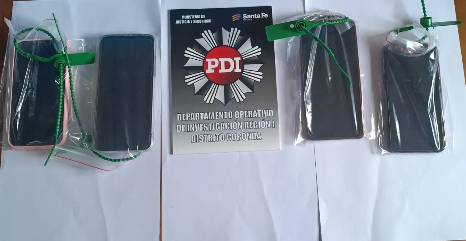 La PDI allanó una casa y secuestró 47 aves por presunta comercialización ilegal - 1