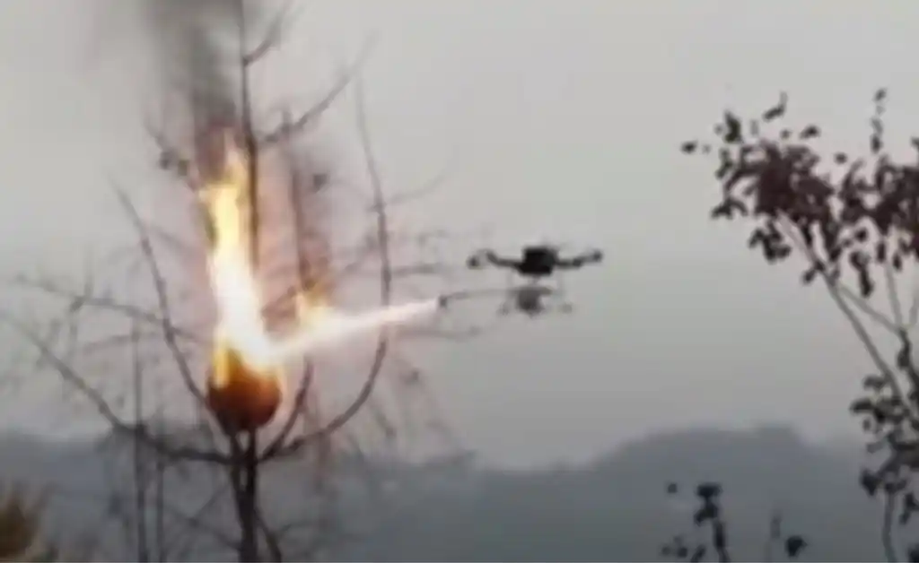 VIRAL. Usan drones lanzallamas para destruir nidos de avispas asiáticas