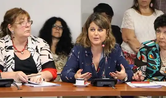 La secretaria de Turismo Carolina Gaillard volcó con su auto y fue hospitalizada