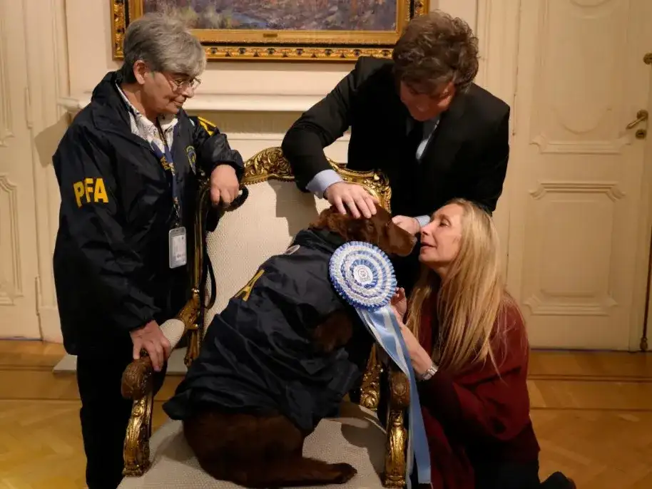 La Pastor Belga Malinois llegó a la sede de Gobierno acompañada por su guía, la sargento Susana Viamonte, quien también pasa a retiro luego de una extensa trayectoria dentro de la fuerza.