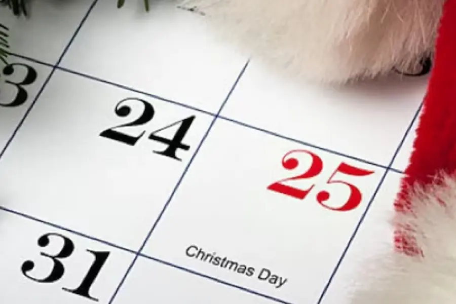 ¿Se mantendrán los feriados del 24 y 31 de diciembre en la administración pública nacional?