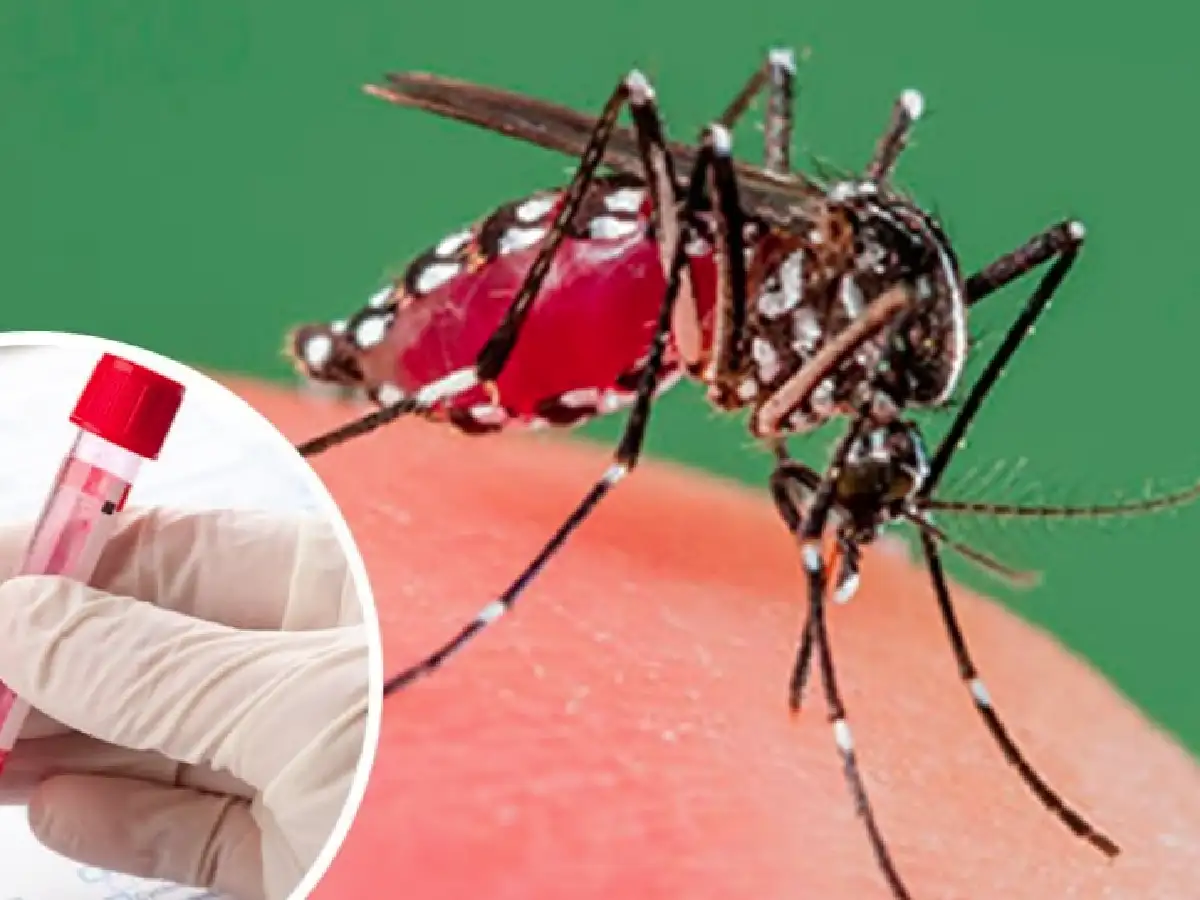 Descartan posible caso de dengue en Freyre 