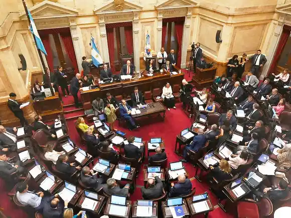 El Senado sancionó la ley que suspende las PASO para este año