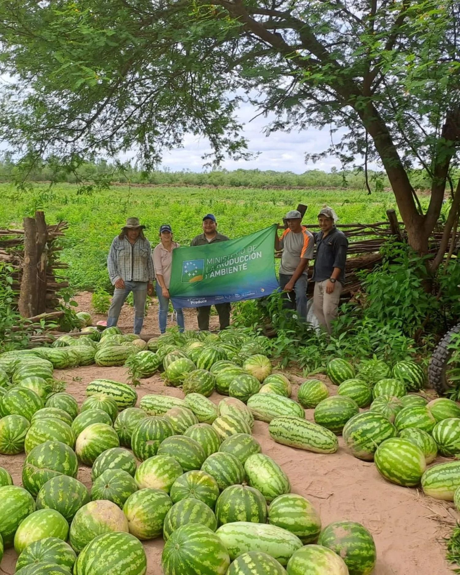 Productores formoseños celebran la época de cosecha