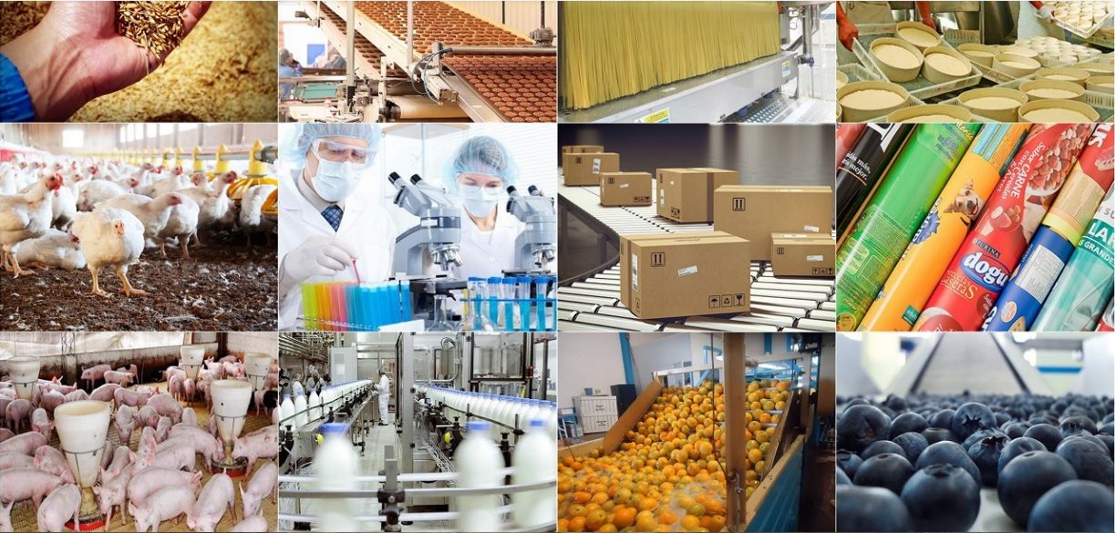 Industria argentina con mayor recuperación de Sudamérica