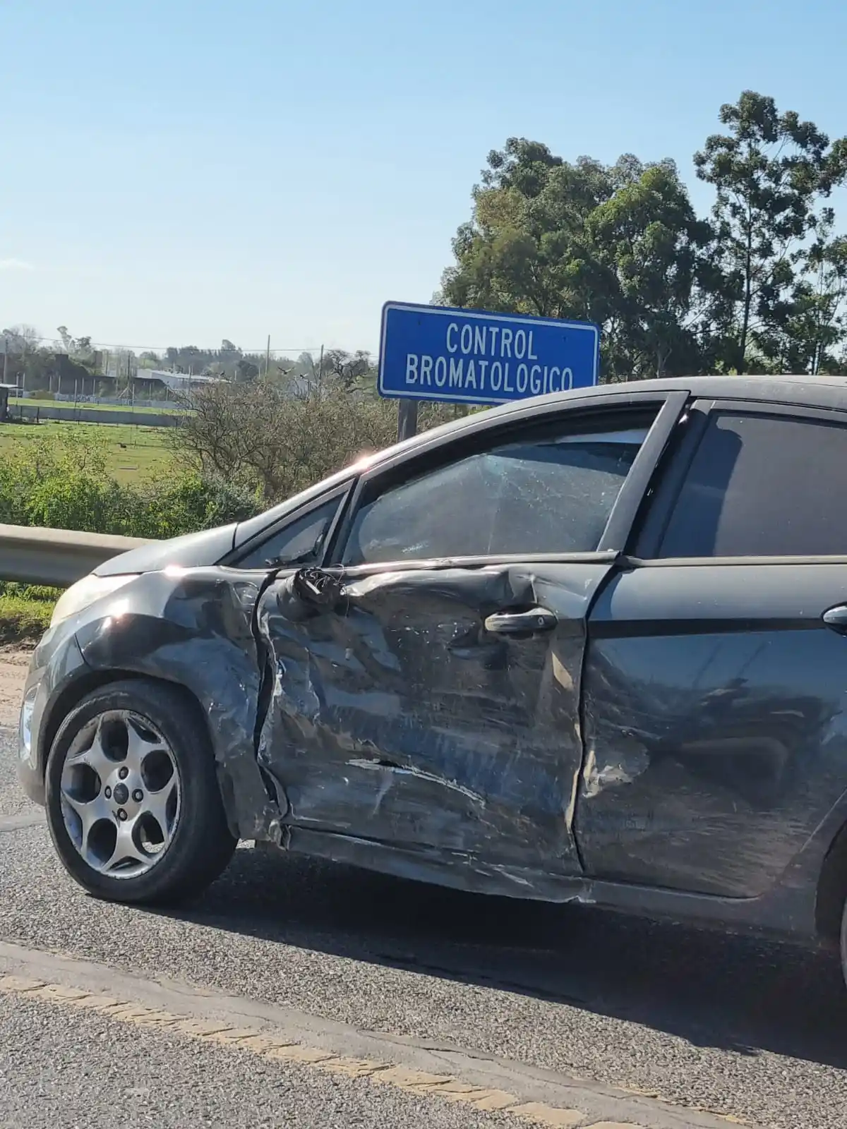 Las primeras fotos del accidente de la precandidata de la lista de Frigerio