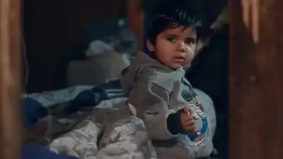 Cuáles son los datos sobre violencia hacia niños y adolescentes en Argentina