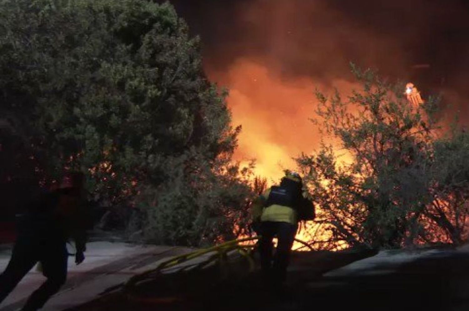 Videos: se desató un incendio en las famosas colinas de Hollywood
