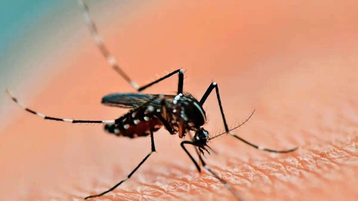 En Misiones, ya son tres las personas fallecidas por dengue