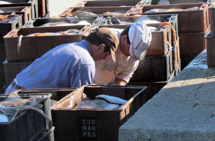 "Traer el langostino por tierra podría reactivar nuestro Puerto"