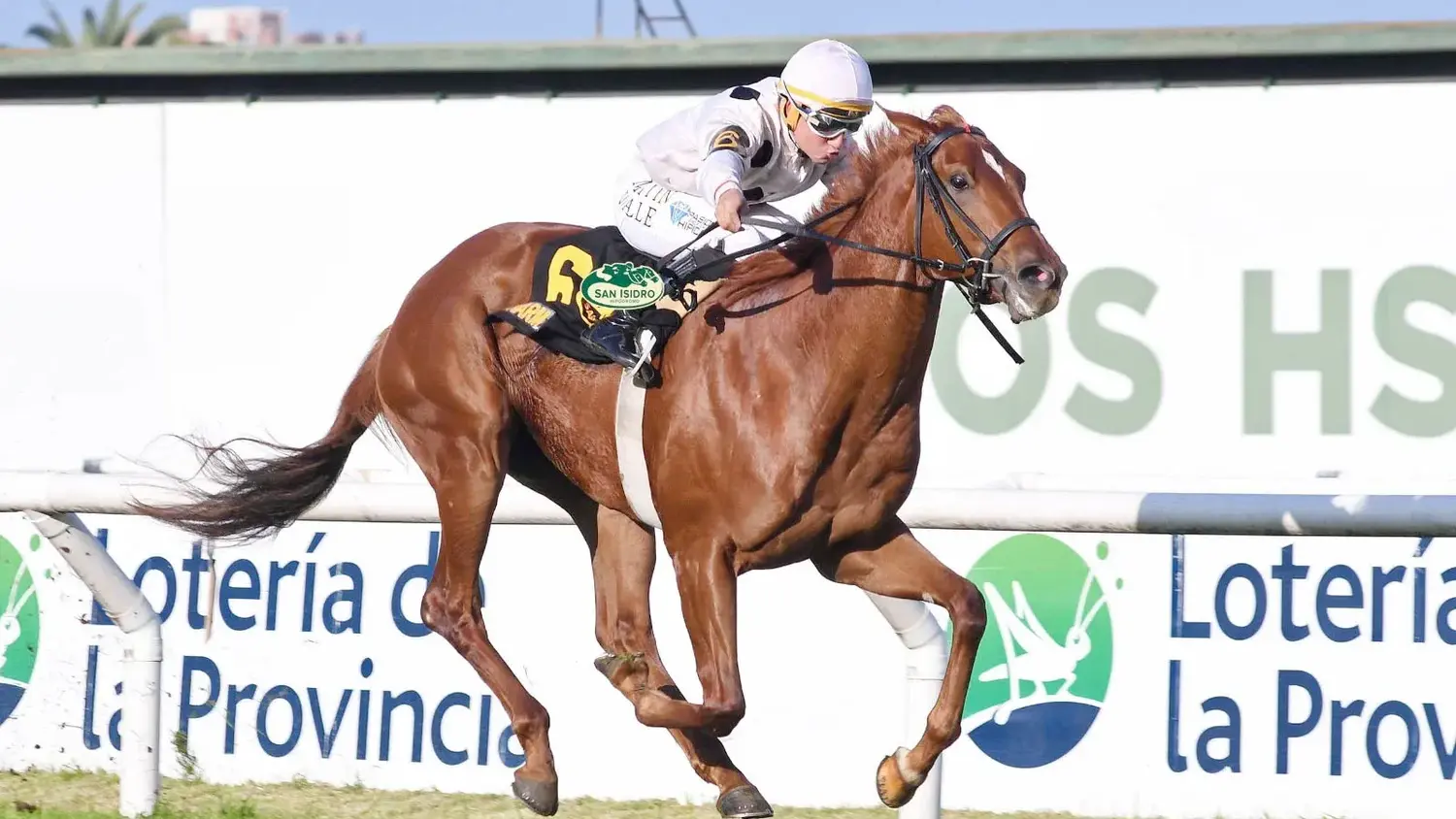 La campeona Charm quiere recuperar su encanto en el Clásico La Mission (G2), en San Isidro
