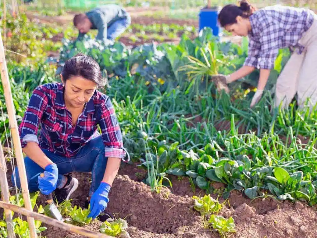 Una mujer debe ser dos cosas: quien ella quiera y lo que ella quiera