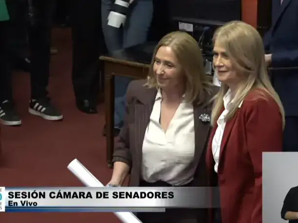 luján fiego - senado - 1