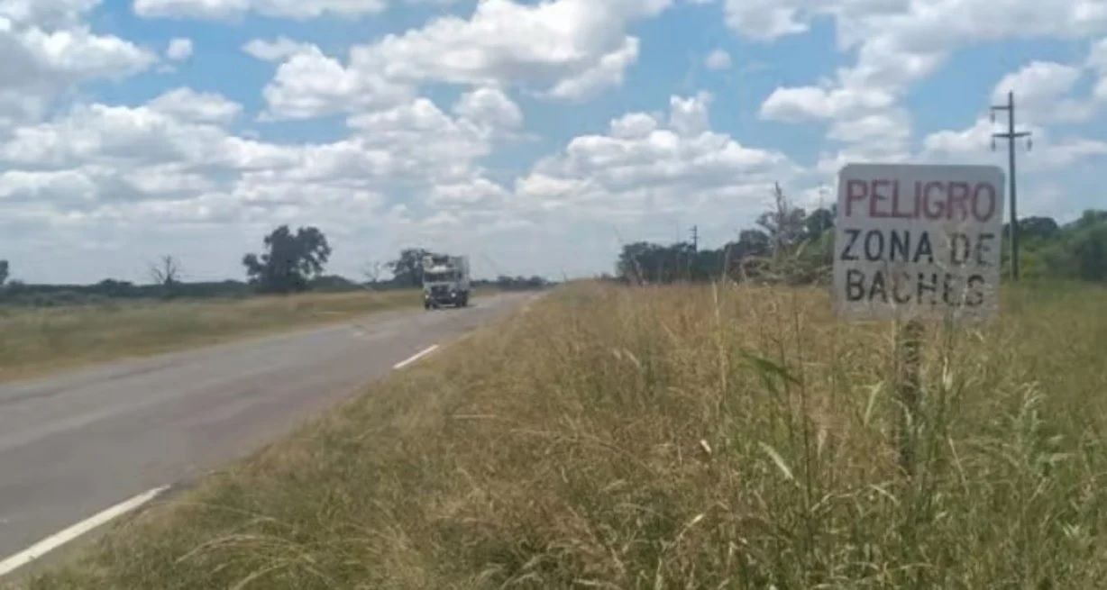Las malezas ganan terreno a ambos lados de la traza vial.