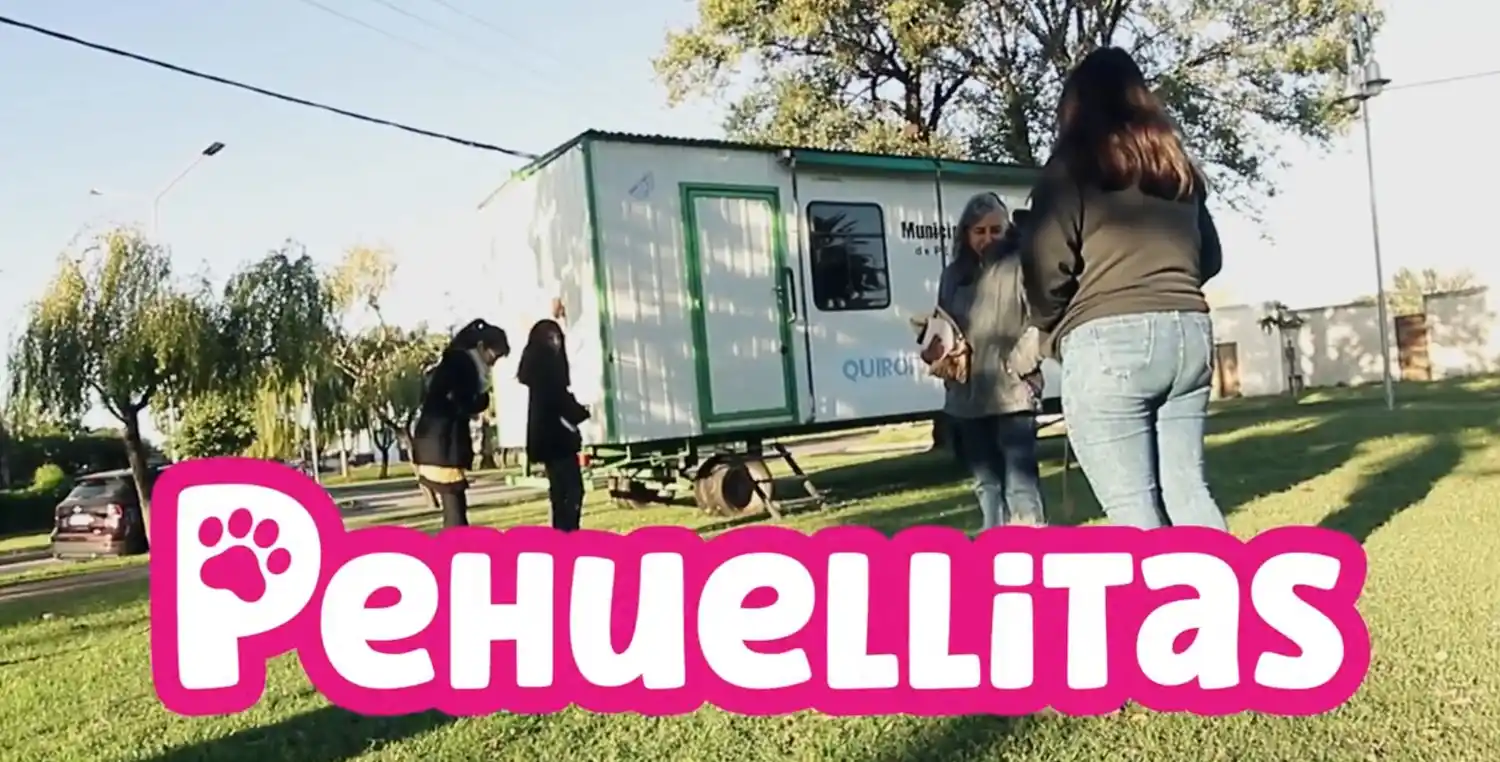 "Pehuellitas": Primer programa municipal de tenencia responsable de animales 