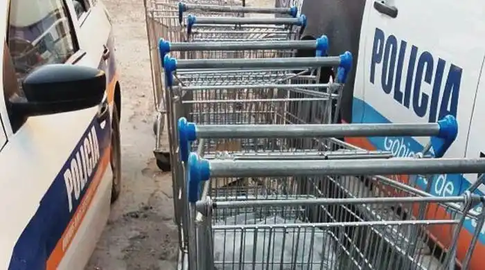 Dueña de un super chino de Bahía Blanca robó changuitos de otro comercio