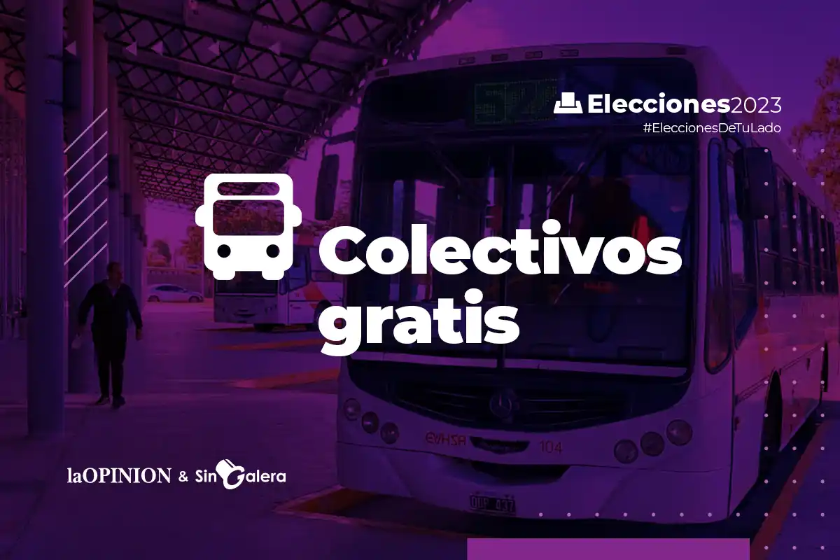 Elecciones 2023: confirman que habrá colectivos gratis para ir a votar