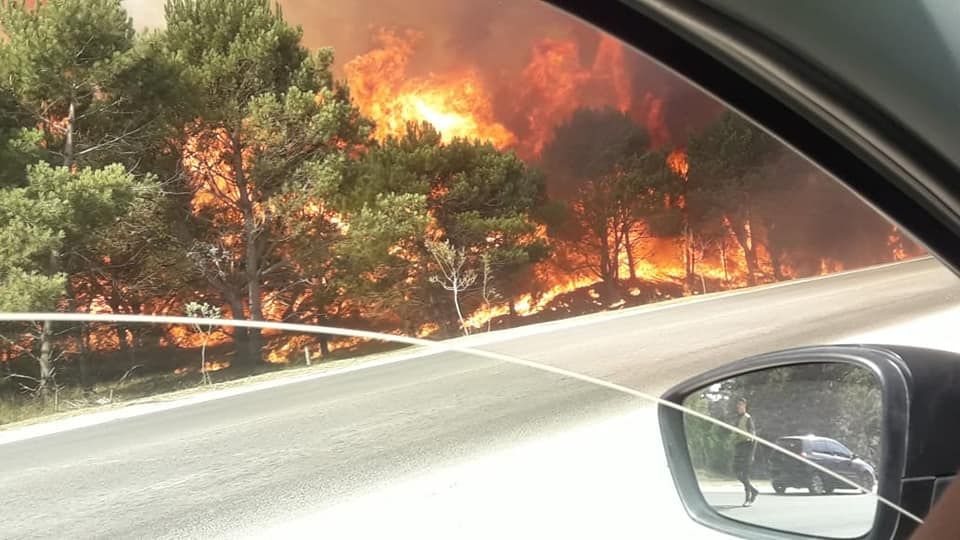 Ardió Gesell: Tras controlar el fuego, llegan las lluvias a la madrugada