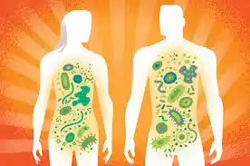 Microbiota intestinal: ¿qué es y cómo impacta en nuestra salud?