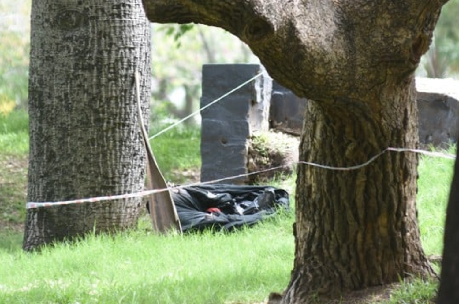 Arrojó sus restos a la Plaza Escalante: imputaron a la detenida por descuartizar a su pareja