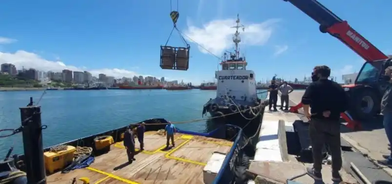 Mar del Plata: Dejaron macerar 600 litros de cerveza bajo el mar y al retirarlas no estaban más