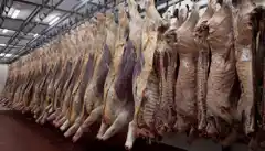 Se faenaron 1,14 millones de cabezas de bovinos en marzo