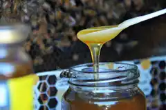 Todo listo para una nueva edición de la Semana de la Miel en Tandil