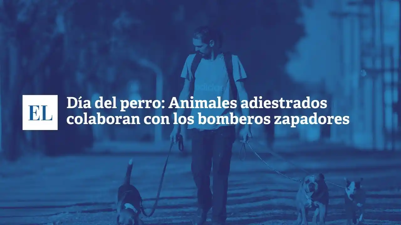 Día del perro: animales adiestrados colaboran con los bomberos zapadores