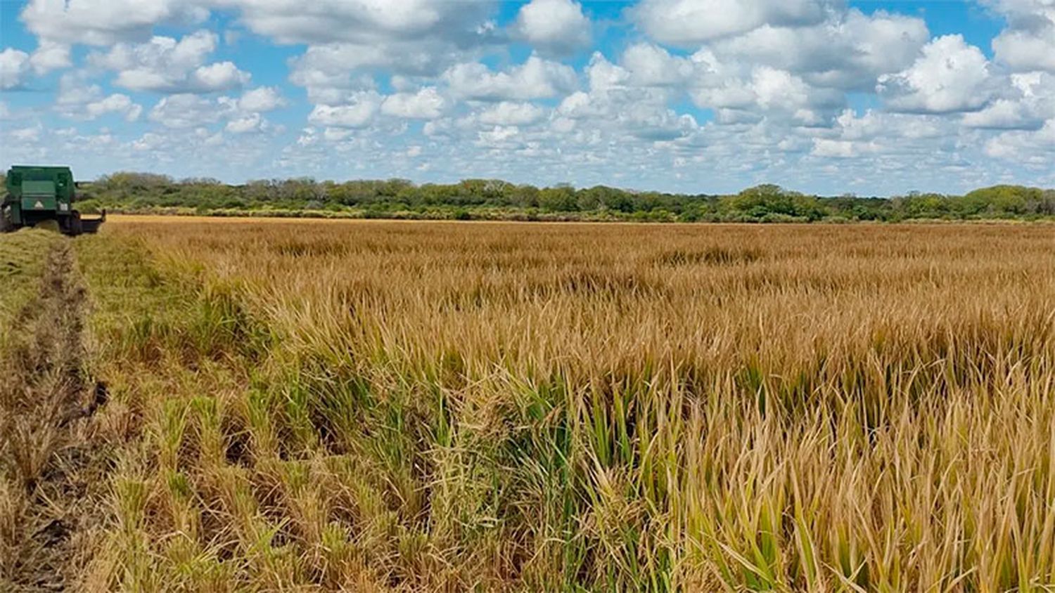 Las pérdidas agrícolas en Entre Ríos por la sequía ascenderían a US$500 millones