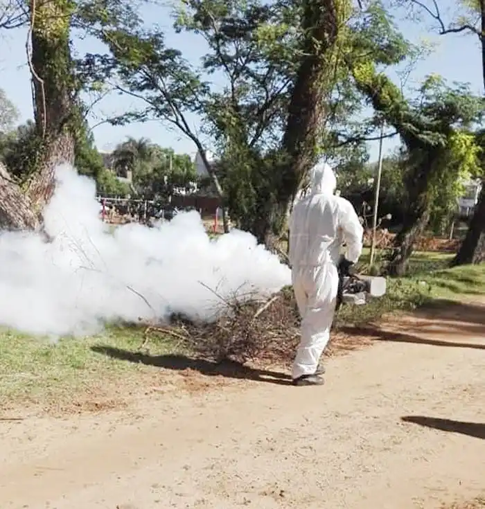 Continúan las tareas de  fumigación y aplicación de  larvicida biológico 