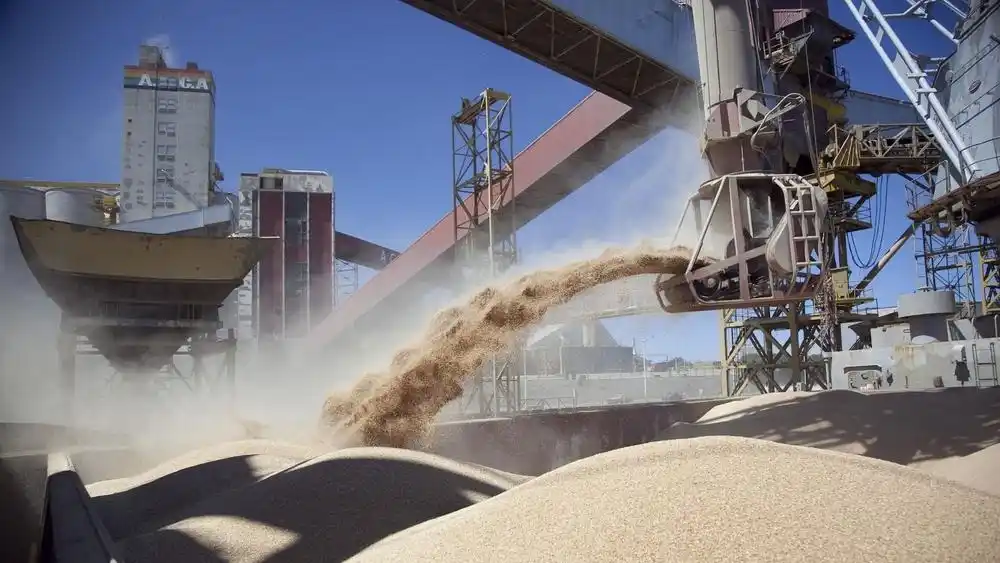 “En relación a abril de 2025, la baja es insignificante y muestra que los efectos de la suspensión de derechos del año pasado ya no se sienten en el mercado de granos para exportación”