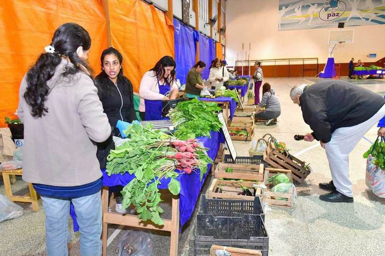 Gran concurrencia de familias a las ferias paipperas