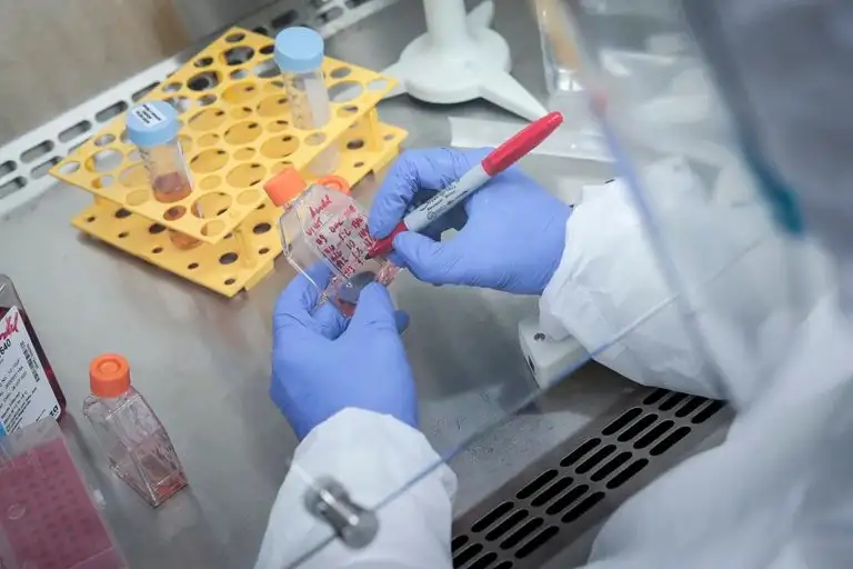 En pruebas de laboratorio, los peptoides inactivaron el SARS-CoV-2, causante del Covid-19, y el virus del herpes simple.