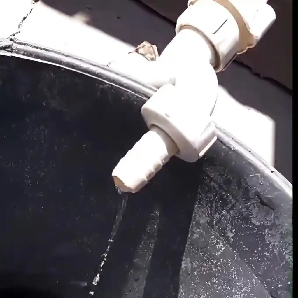 En Los Aromitos sale "un hilito" de agua.