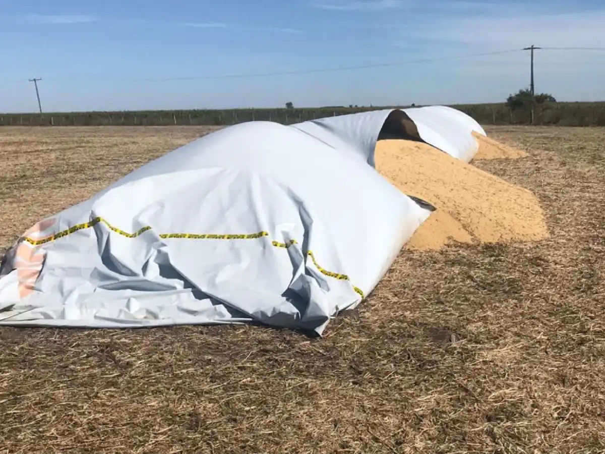 La cadena agroindustrial reclamó una "respuesta rápida" al Gobierno ante la destrucción de silobolsas